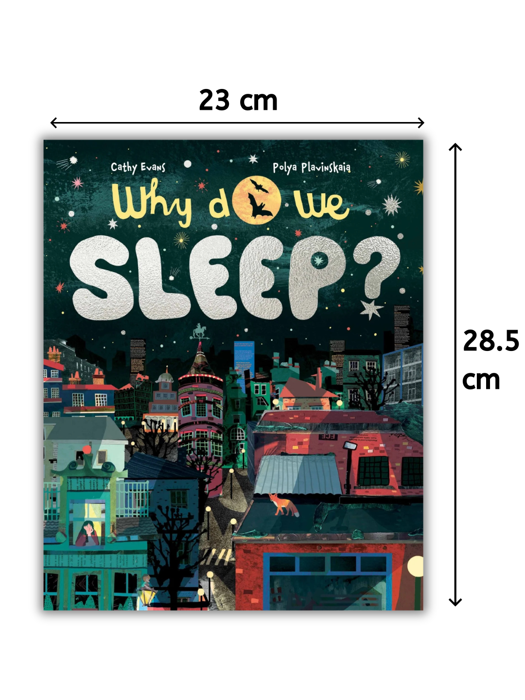 Why Do We Sleep? by Cathy Evans | children book