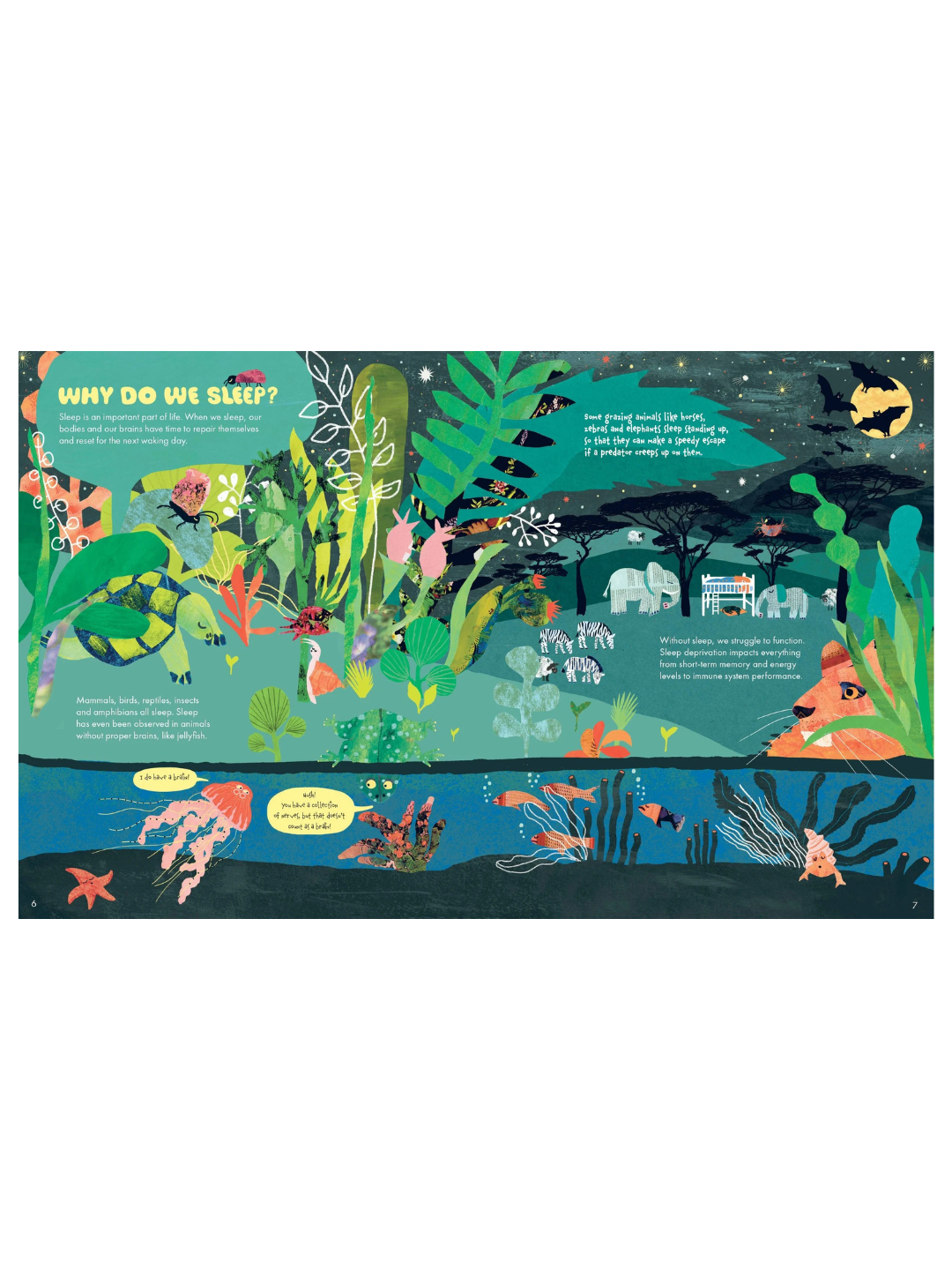 Why Do We Sleep? by Cathy Evans | children book