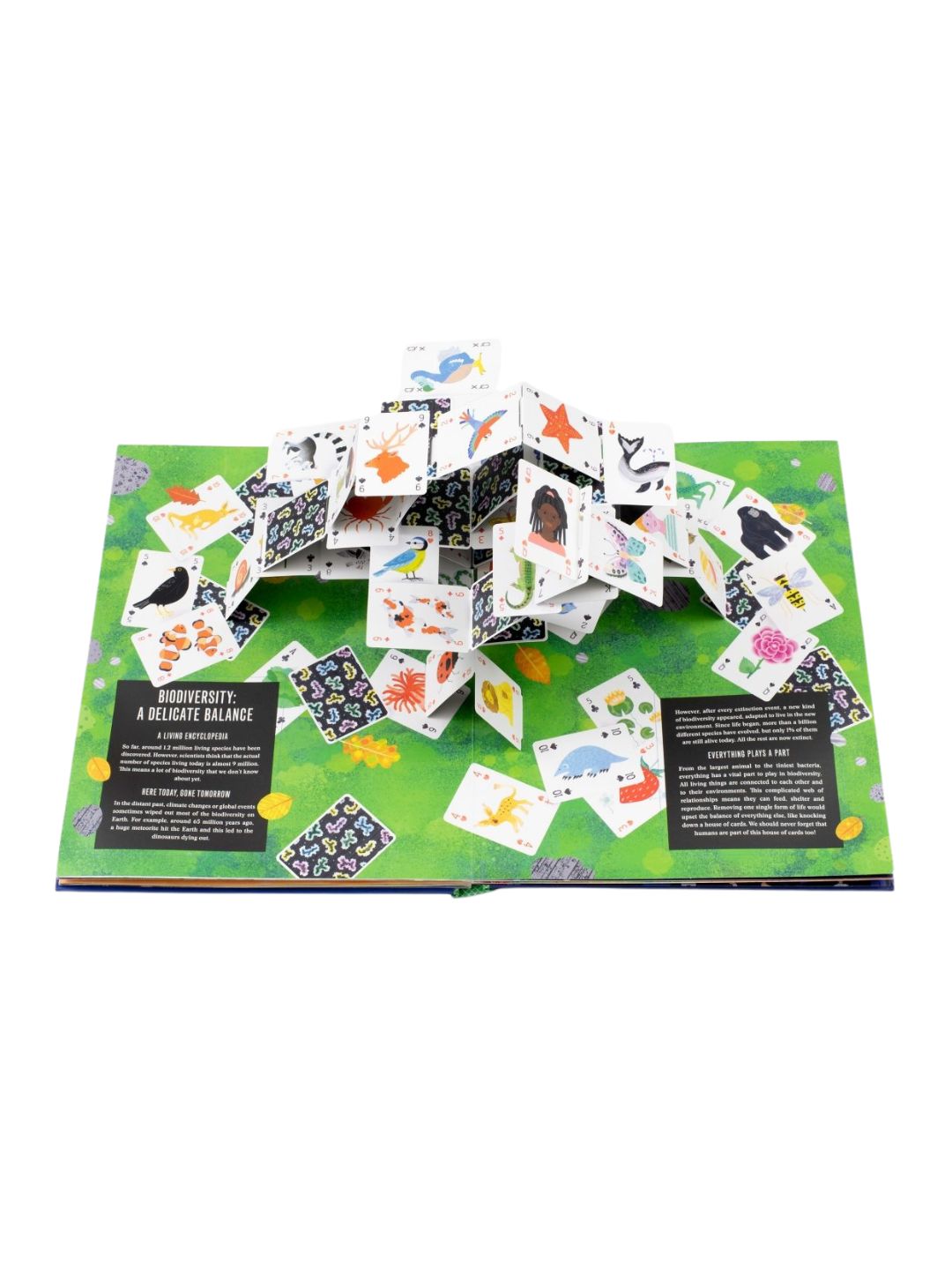 Interactive 3D Pop-Up Earth Book - Thames & Hudson