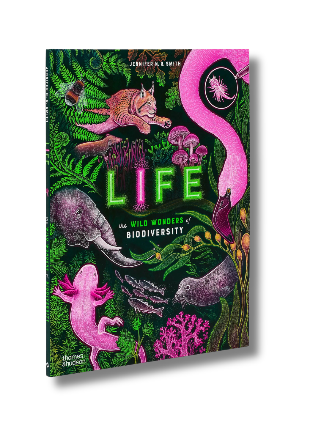 Life The Wild Wonders of Biodiversity | Hardcover