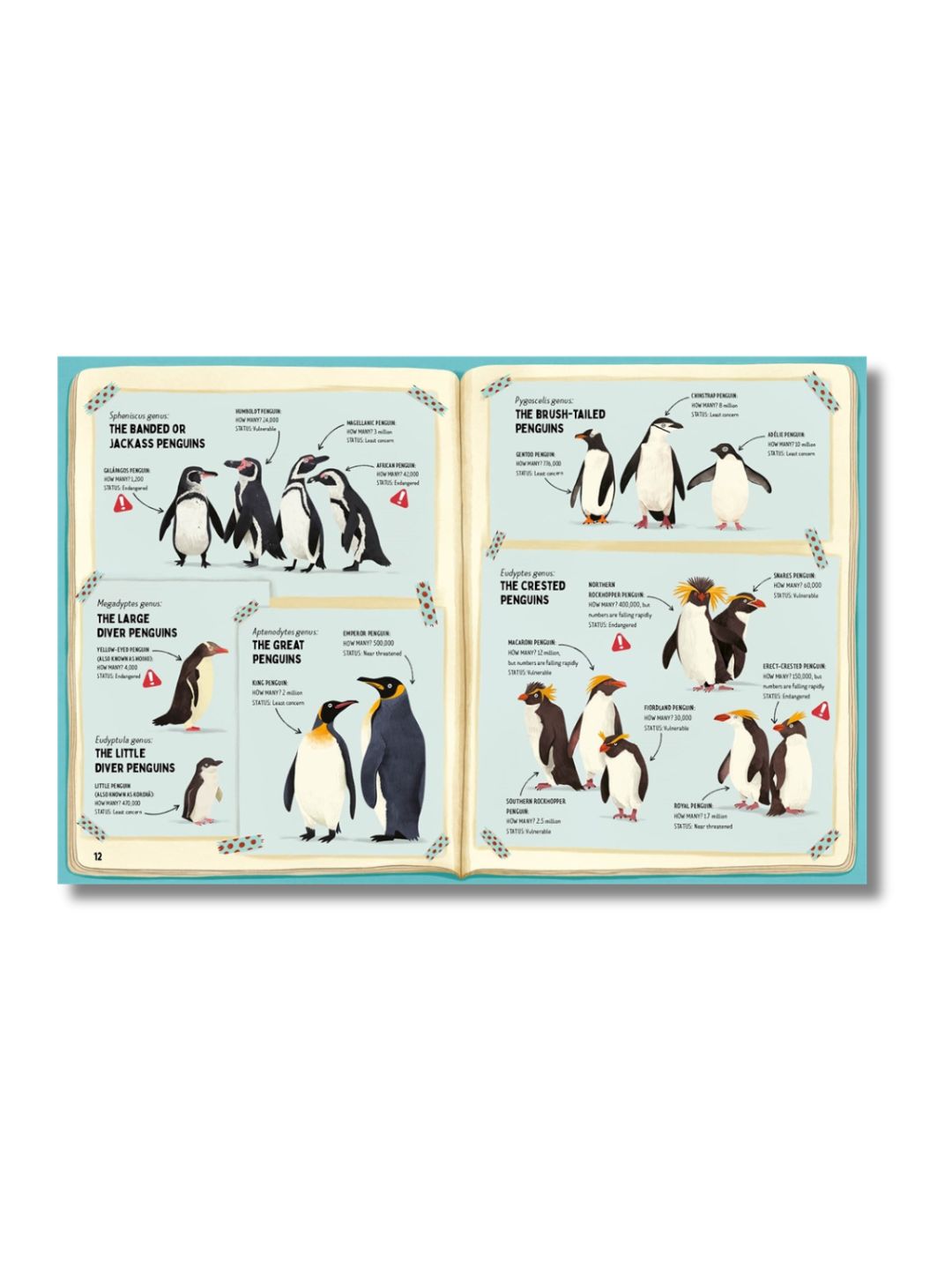 Do Penguins Like the Cold? - Thames & Hudson Science Book
