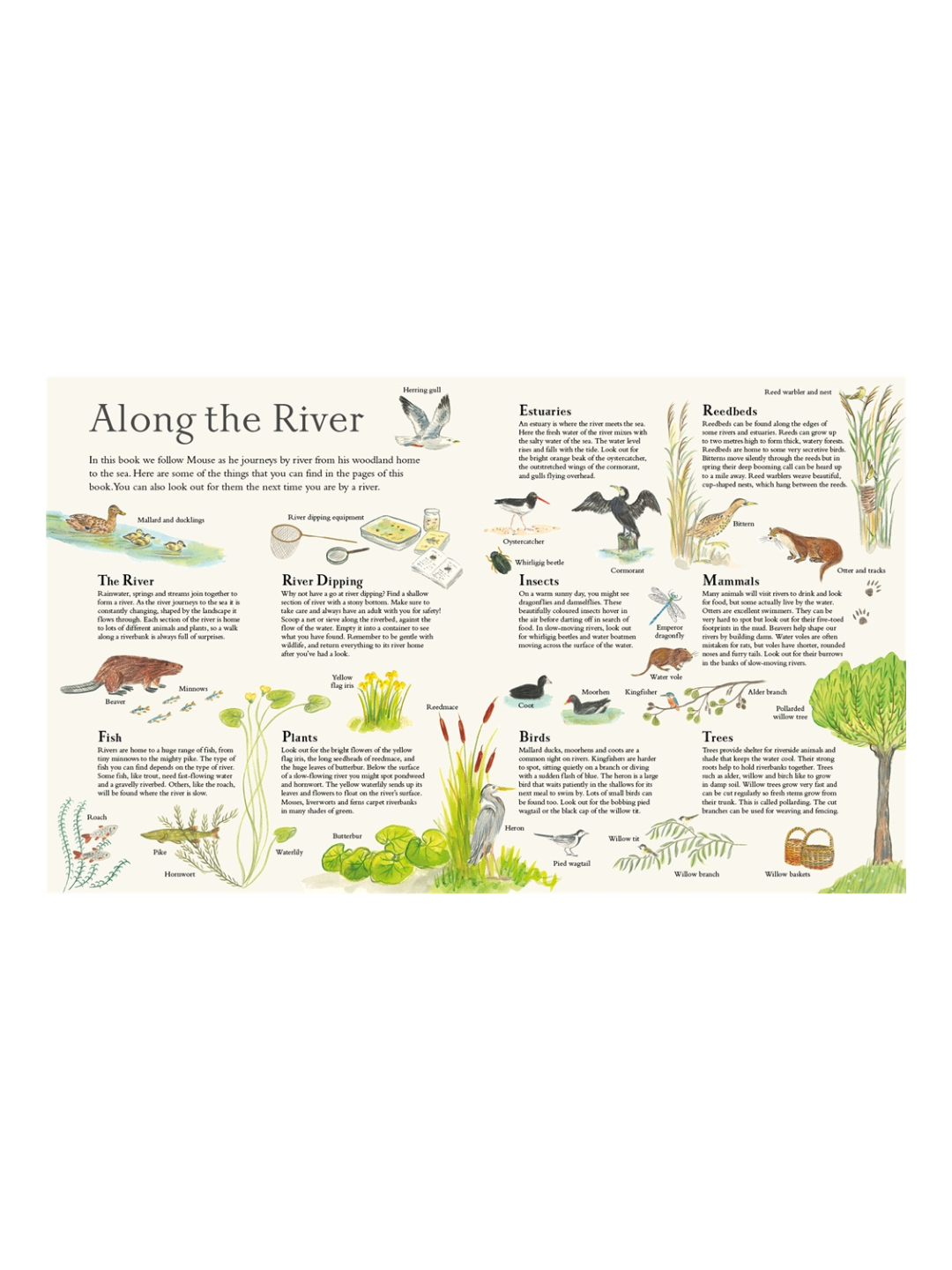 Mouse on the River by Alice Melvin (Lift-the-Flap Hardcover Nature Book)
