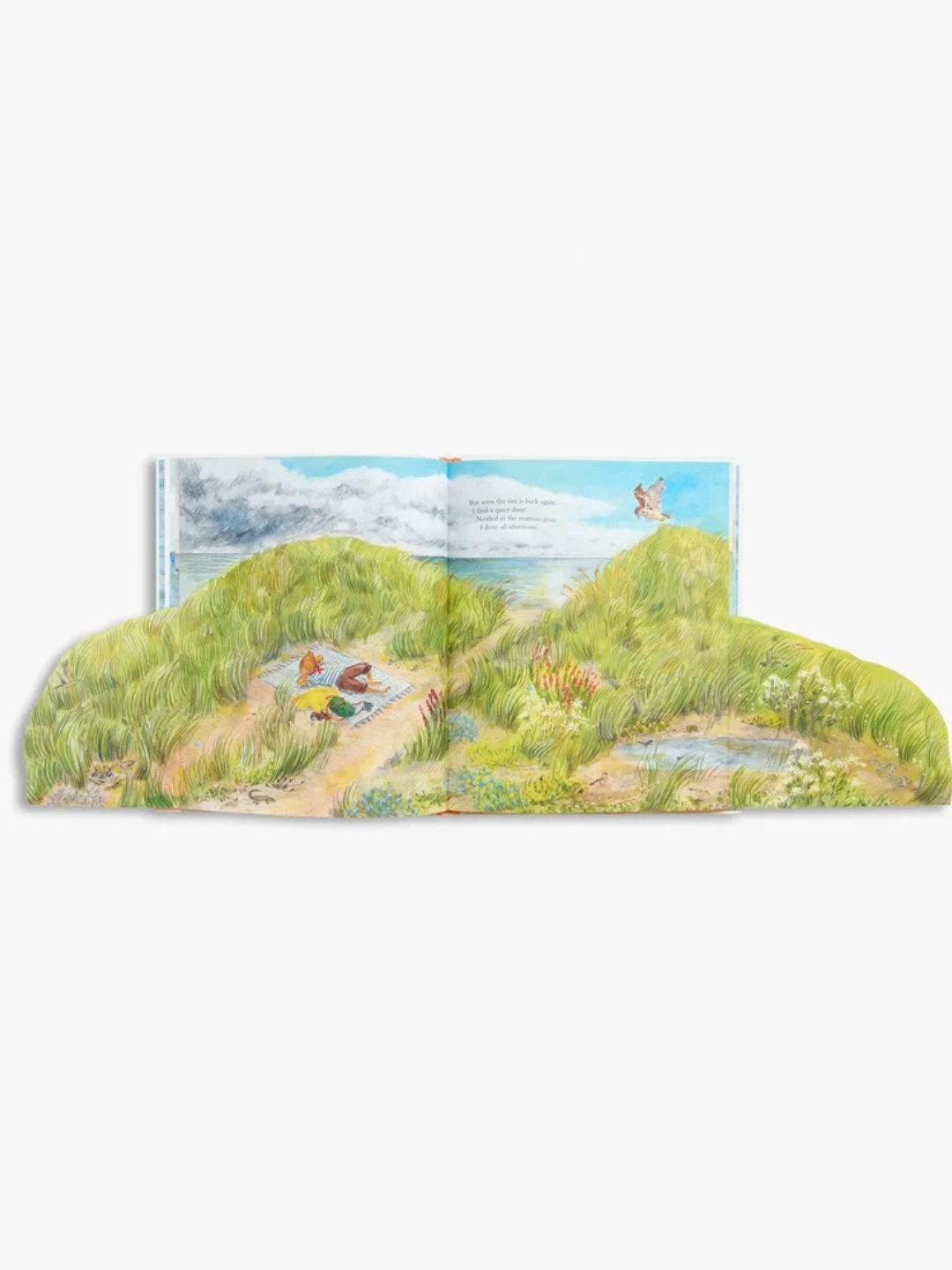 Mouse by the Sea by Alice Melvin (Lift-the-Flap Hardcover Nature Book)