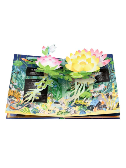 Interactive 3D Pop-Up Earth Book - Thames & Hudson