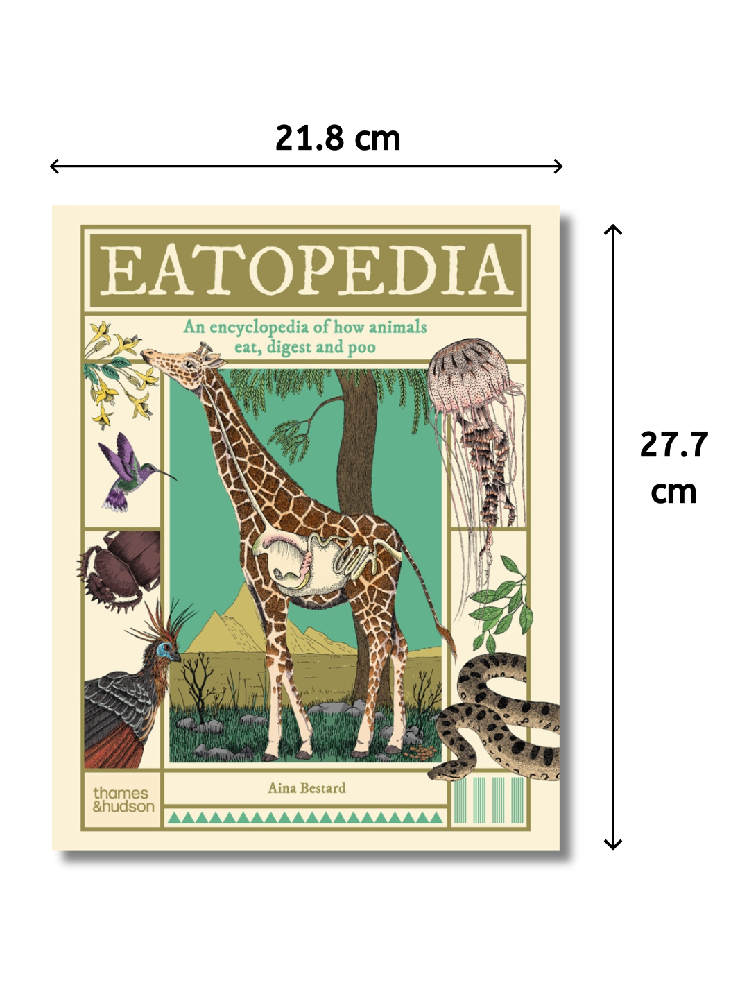 Eatopedia - An Encyclopedia of How Animals Eat, Digest & Poo
