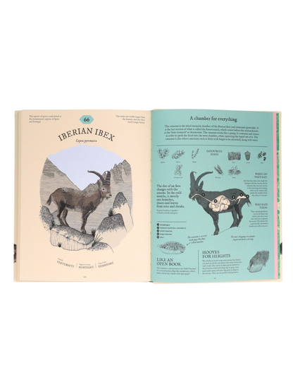 Eatopedia - An Encyclopedia of How Animals Eat, Digest & Poo
