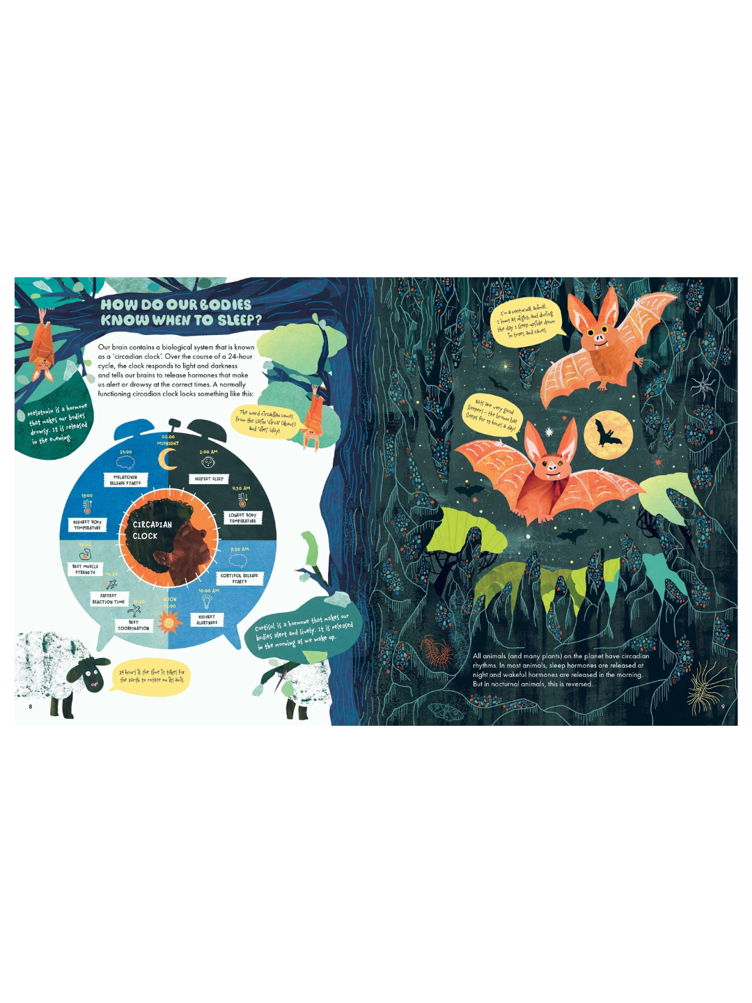 Why Do We Sleep? by Cathy Evans | children book