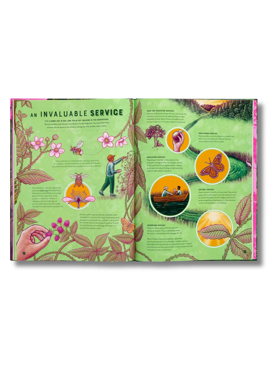 Life The Wild Wonders of Biodiversity | Hardcover
