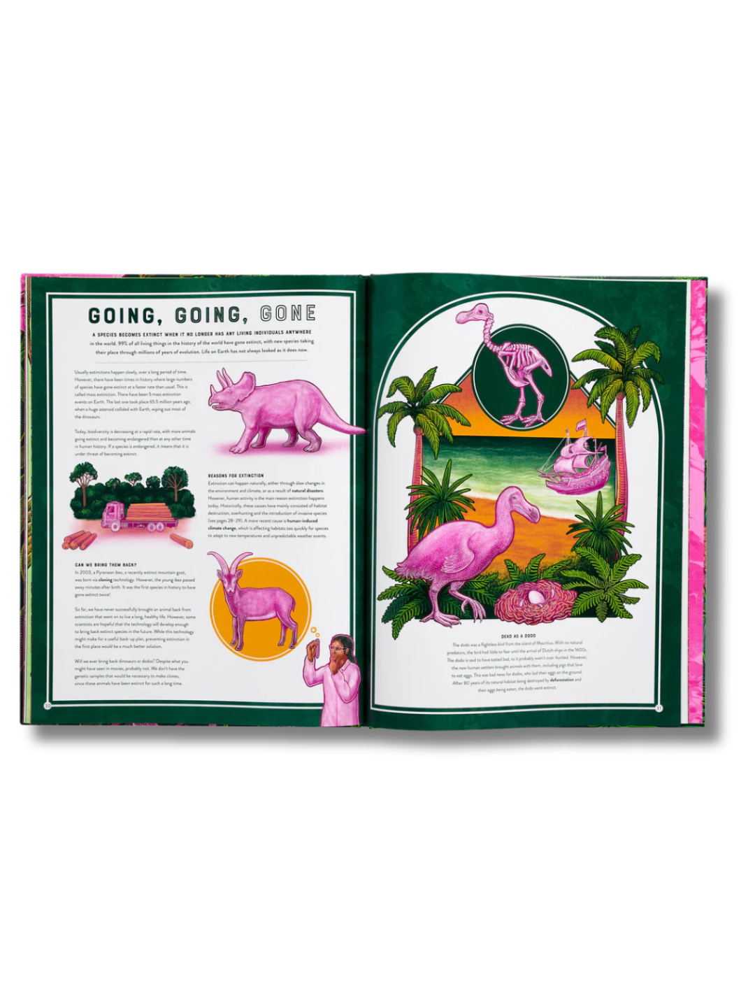 Life The Wild Wonders of Biodiversity | Hardcover