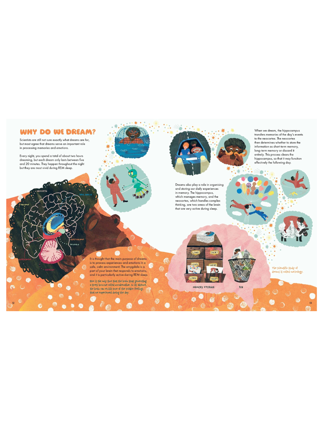 Why Do We Sleep? by Cathy Evans | children book