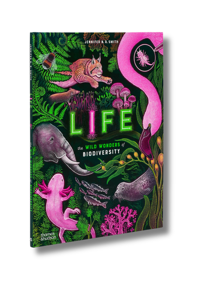 Life The Wild Wonders of Biodiversity | Hardcover