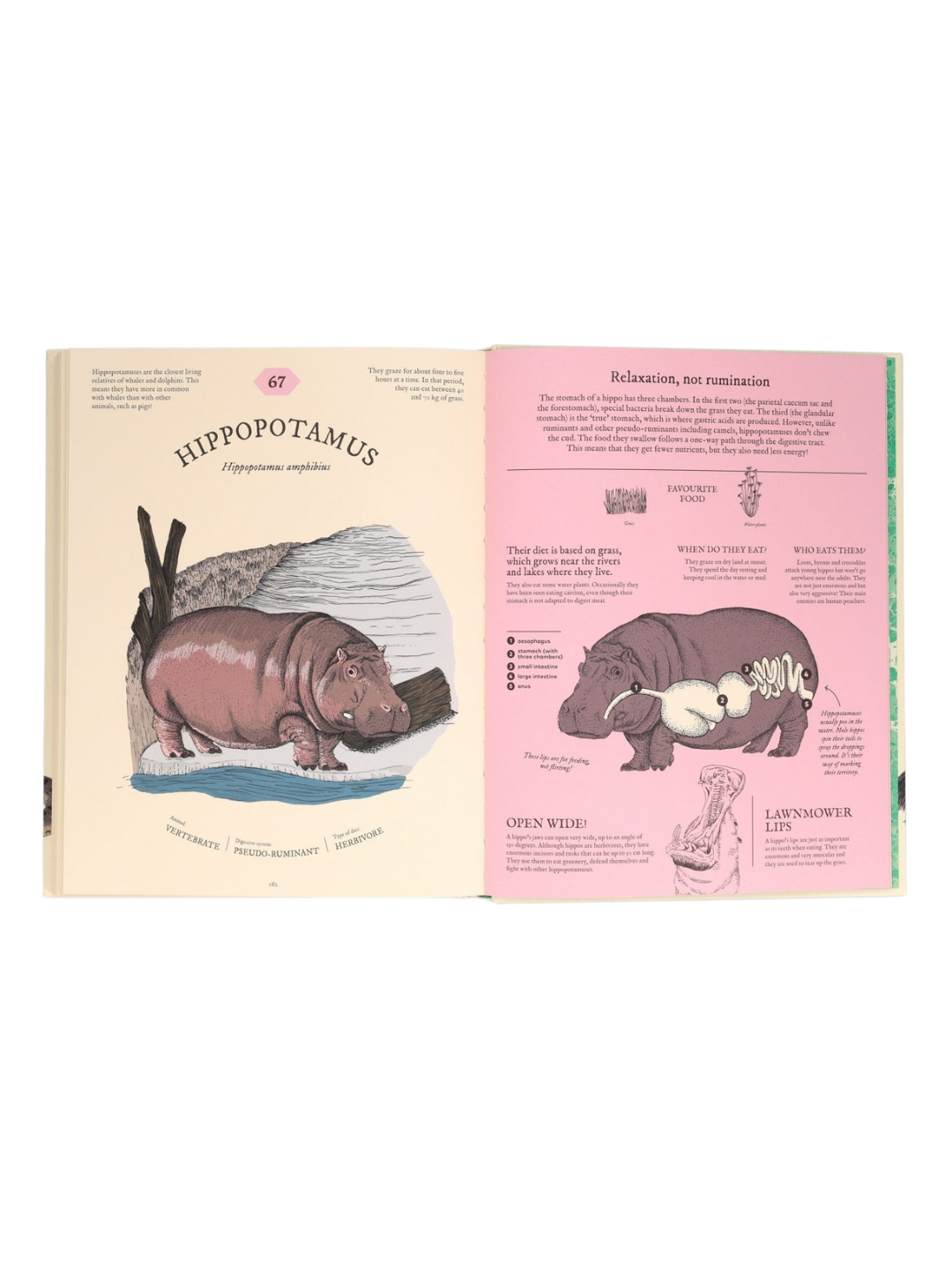Eatopedia - An Encyclopedia of How Animals Eat, Digest & Poo