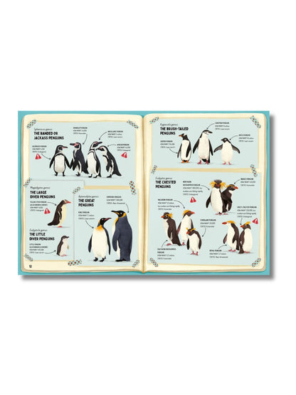 Do Penguins Like the Cold? - Thames & Hudson Science Book