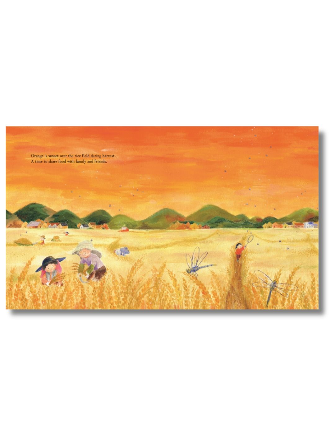 The Colours of Home - Thames & Hudson Picture Book