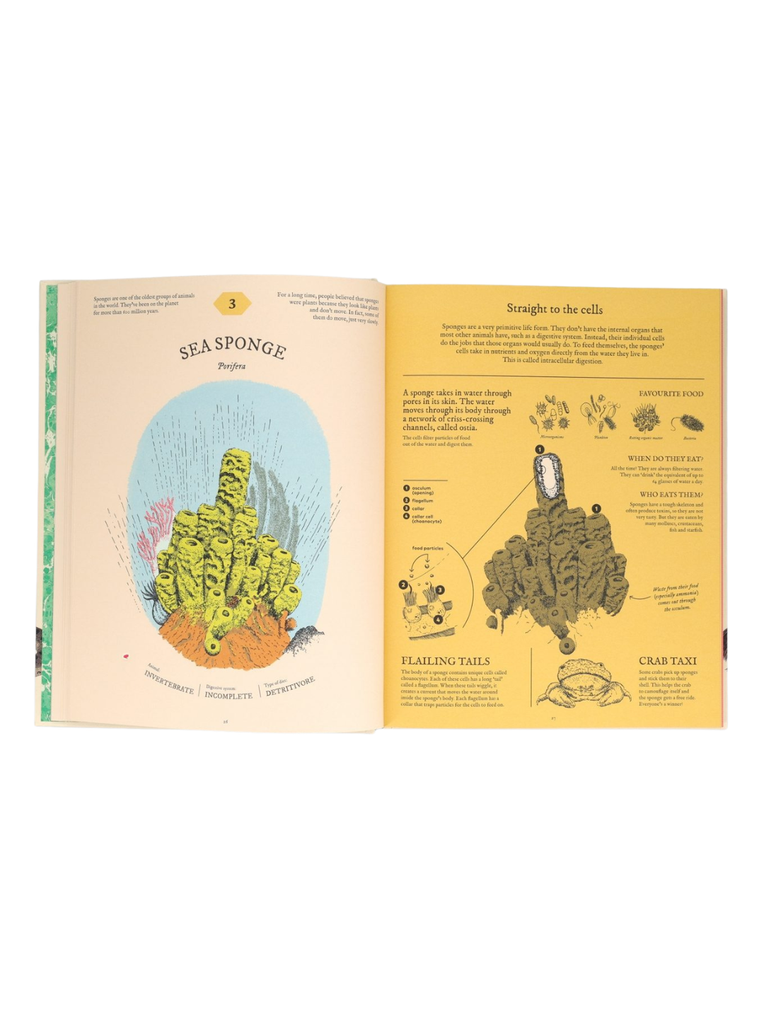 Eatopedia - An Encyclopedia of How Animals Eat, Digest & Poo