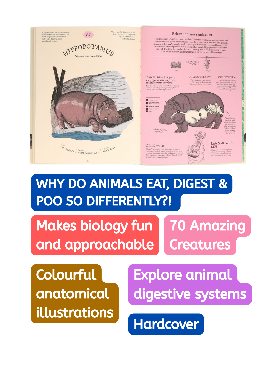 Eatopedia - An Encyclopedia of How Animals Eat, Digest & Poo