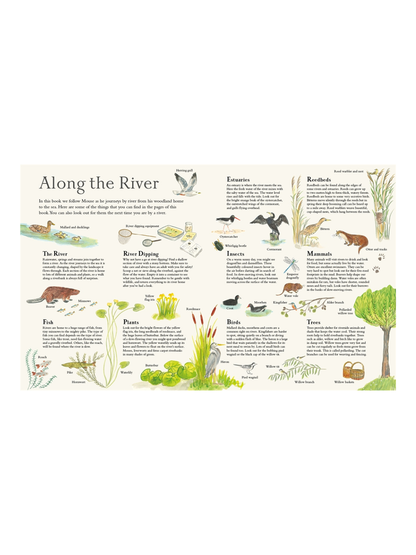 Mouse on the River by Alice Melvin (Lift-the-Flap Hardcover Nature Book)