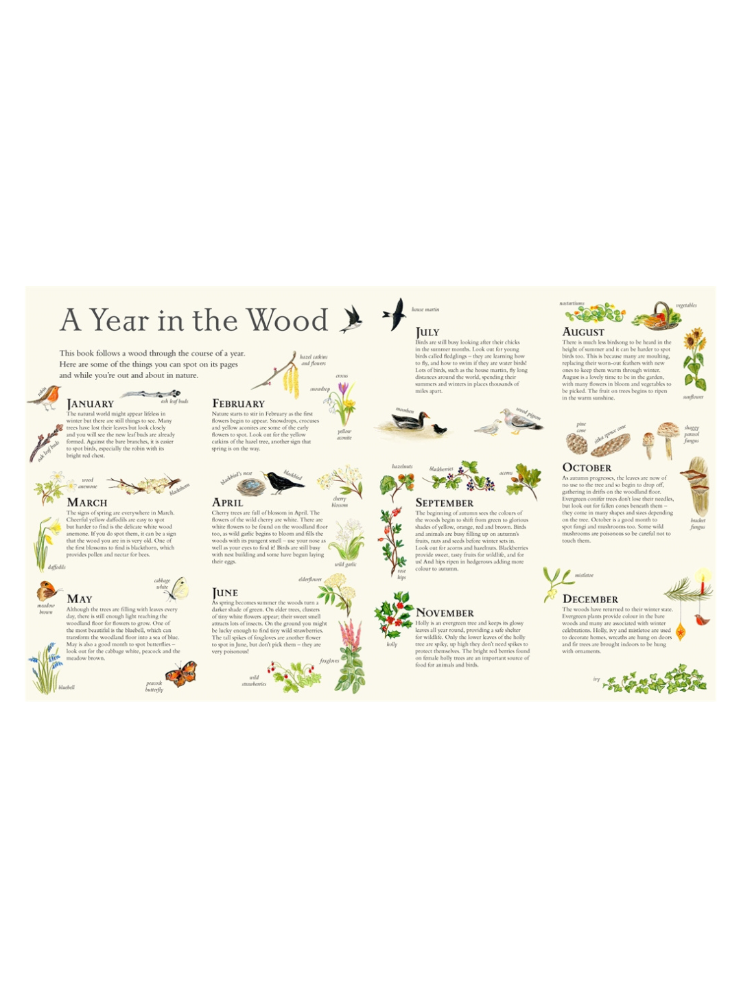 Mouse’s Wood: A Year in Nature by Alice Melvin (Lift-the-Flap Hardcover)