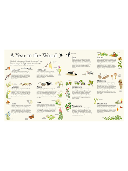 Mouse’s Wood: A Year in Nature by Alice Melvin (Lift-the-Flap Hardcover)