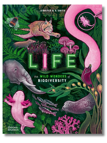 Life The Wild Wonders of Biodiversity | Hardcover