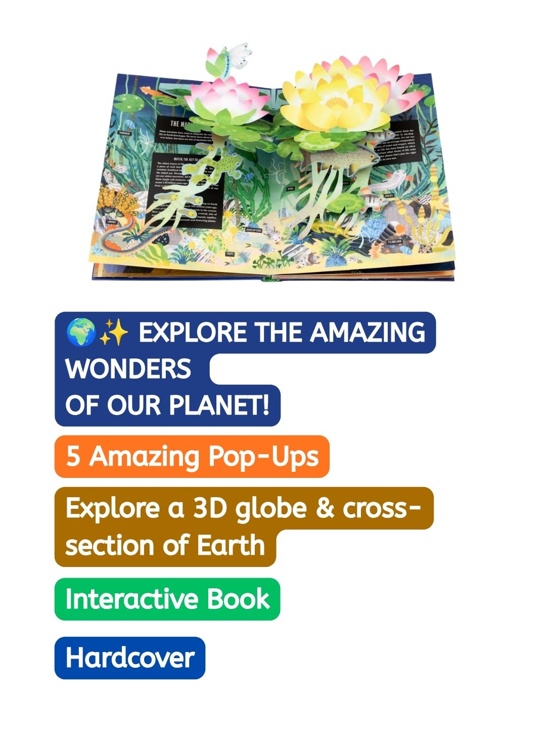 Interactive 3D Pop-Up Earth Book - Thames & Hudson