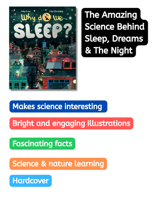 Why Do We Sleep? by Cathy Evans | children book